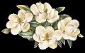 fleurs et nature (115)